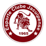 Jacuipense